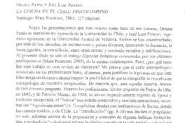 La chicha en el Chile precolombino
