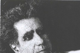 "Los chilenos tenemos algo muy especial: somos espesos" (entrevista)