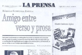 Amigo entre verso y prosa