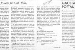 La poesía joven actual (VII)