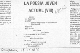La poesía joven actual (VIII)