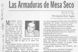 Las armaduras de Mesa Seco