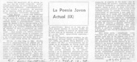 La poesía joven actual (IX)