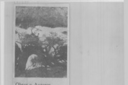 Eugenio Mimica Barassi, Comarca fueguina