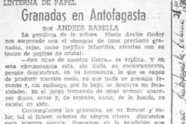 Ganadas en Antofagasta