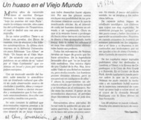 Un huaso en el viejo mundo