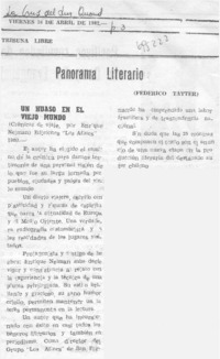 Un huaso en el viejo mundo