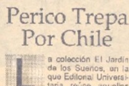 Perico trepa por Chile.