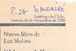 Una chilena en la ruta indo-paquistana".