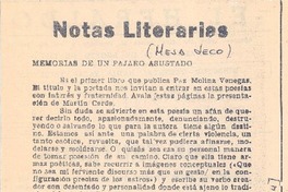 Memorias de un pájaro asustado