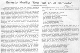 Ernesto Murillo: "Una flor en el cemento"
