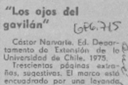 Los ojos del gavilán