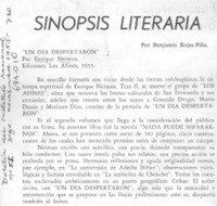 Sinopsis literaria