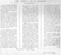 La mariposa en el barbecho