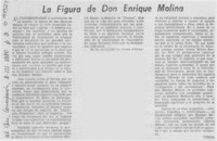 La figura de don Enrique Molina