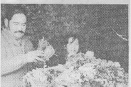 Publicaciones científicas.