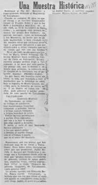 La novela chilena nunca logrará enloquecer a nadie".