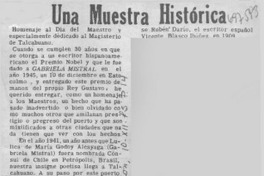 La novela chilena nunca logrará enloquecer a nadie".