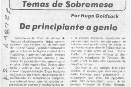 De principiante a genio