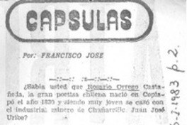 Rosario Orrego Castañeda