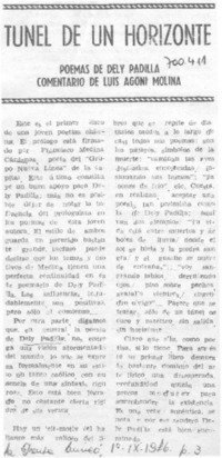 Túnel de un horizonte