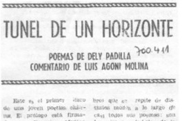 Túnel de un horizonte