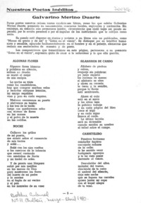 Galvarino Merino Duarte