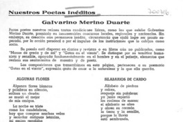 Galvarino Merino Duarte