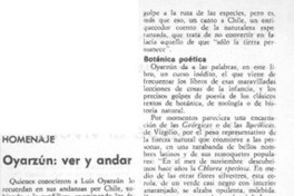 Oyarzún, ver y andar