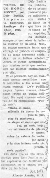 Túnel de un horizonte