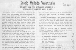 Sergio Mellado Valenzuela