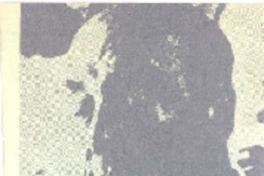 Para nacer he nacido.