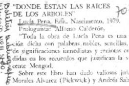 Donde están las raíces de los árboles.