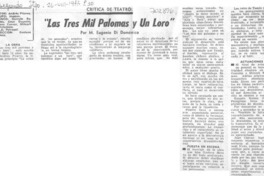 Las tres mil palomas y un loro