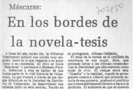 En los bordes de la novela-tesis