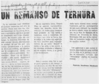 Un remanso de ternura