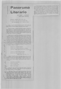 Panorama literario