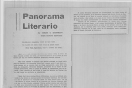 Panorama literario