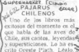 Pájaros chilenos