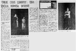 "Chiloé, cielos cubiertos": obra sencilla, hermosa, diferente