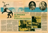 "Las Brutas", de Radrigán se estrena en aula magna.