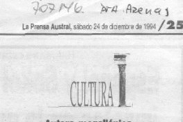 Autora magallánica en revista sueca.