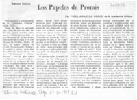 Los papeles de Promis