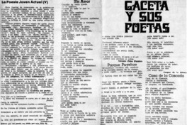 La poesía joven actal (V)