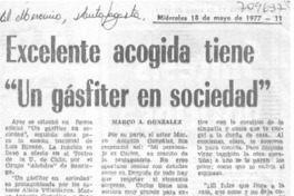 Excelente acogida tiene "un gásfiter en sociedad".