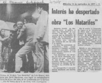 Interés ha despertado obra "los matarifes"