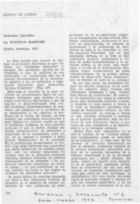 La cuestión mapuche