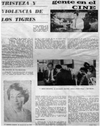 Tristeza y violencia de los tigres