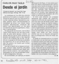 Desde el jardín
