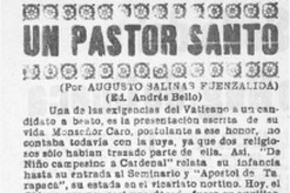 Un pastor santo